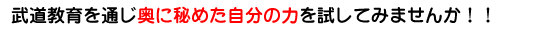 武道教育を通じ奥に秘めた自分の力を試してみませんか!!